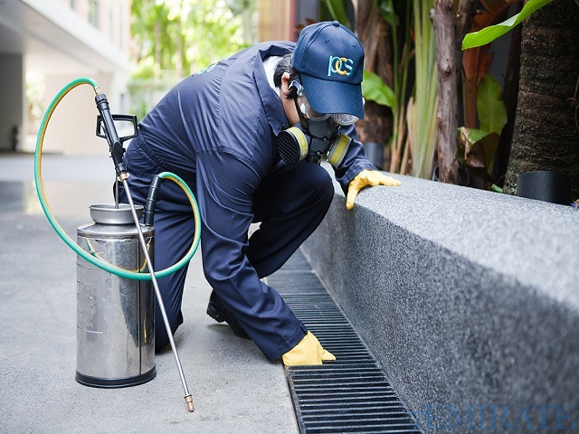 Pest Control Solutions